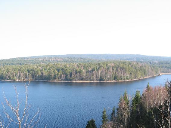 Utsikt över sjö mot skog