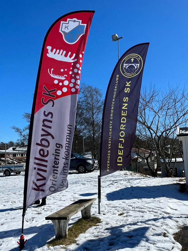 Kvillebyns och Idefjordens klubbvepor på en snötäckt mark.